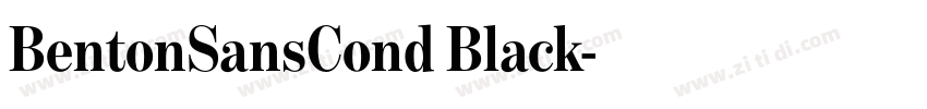 BentonSansCond Black字体转换